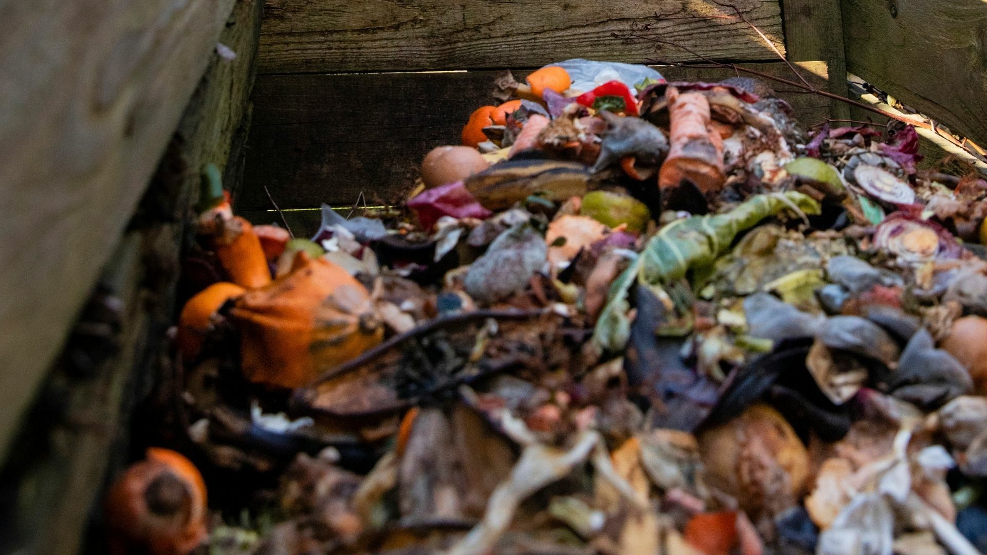 A Beginner's Guide to the Science of Compost