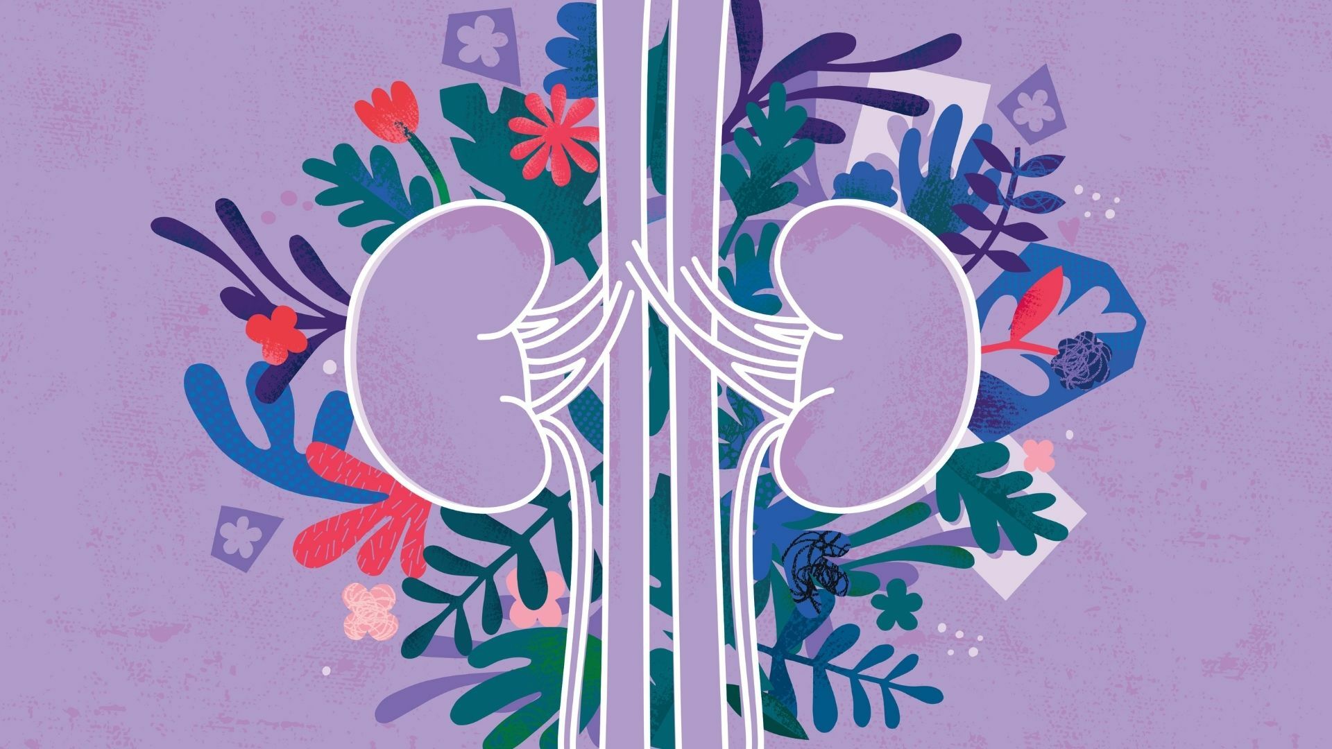 A Palette of Possibilities:  Celebrating Kidney Health