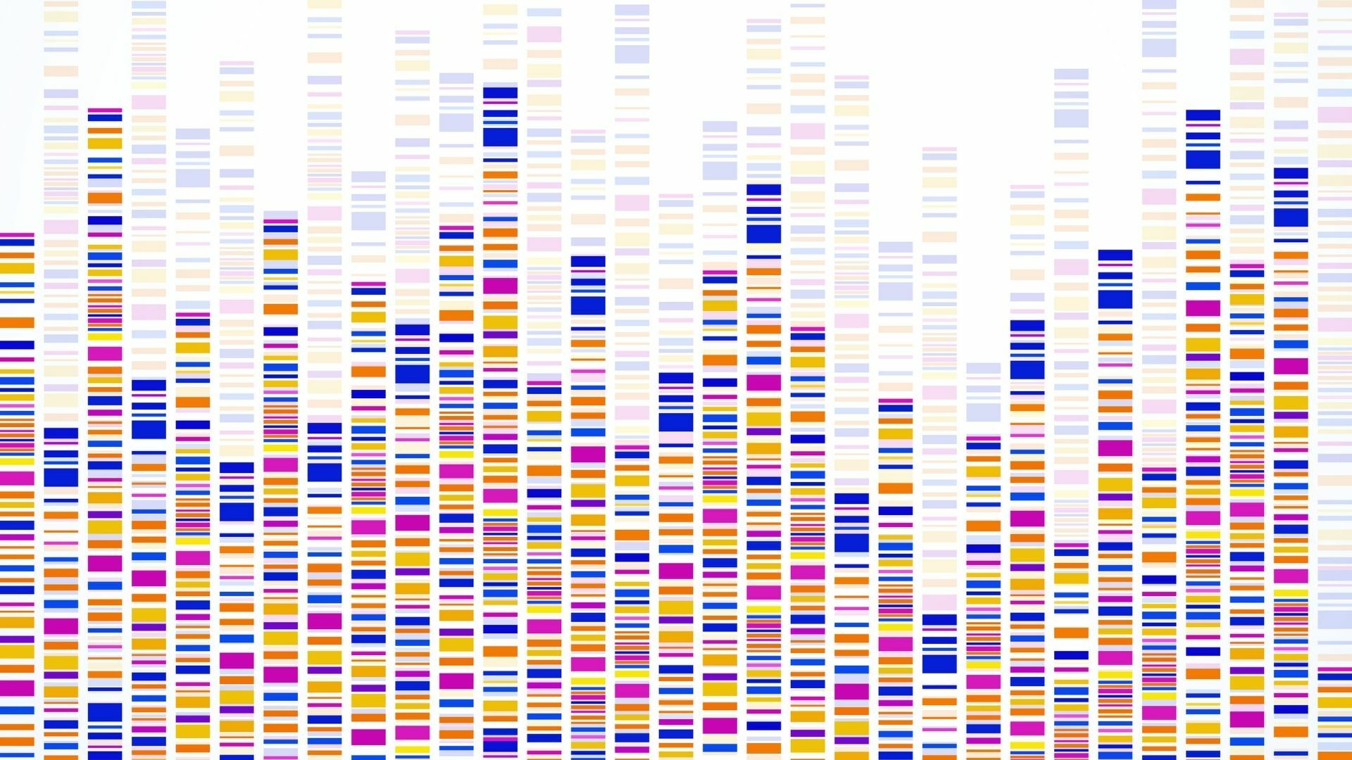 DNA and your Family History