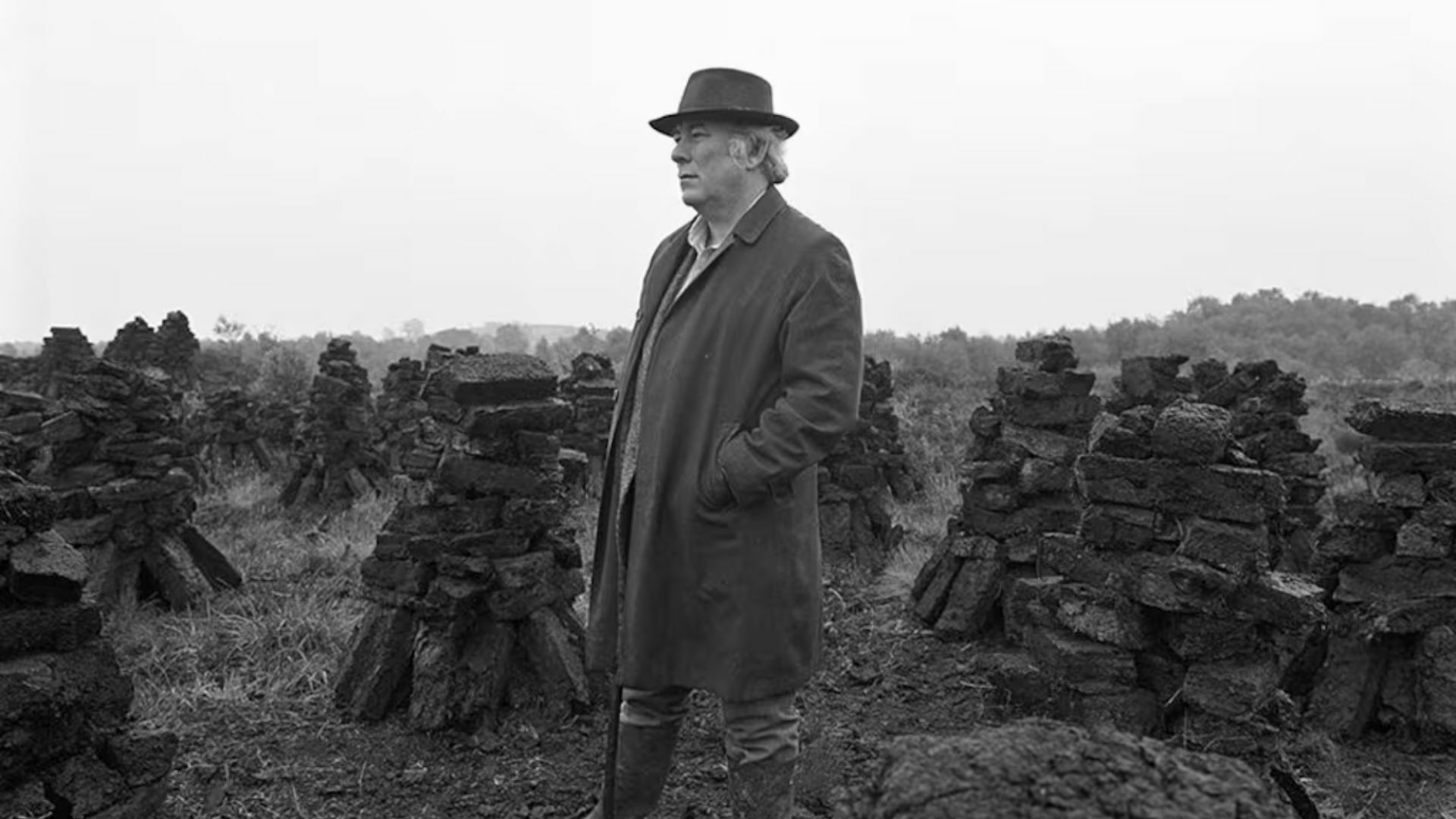 Digging Into Bog: Archeological Finds and the Work of Seamus Heaney