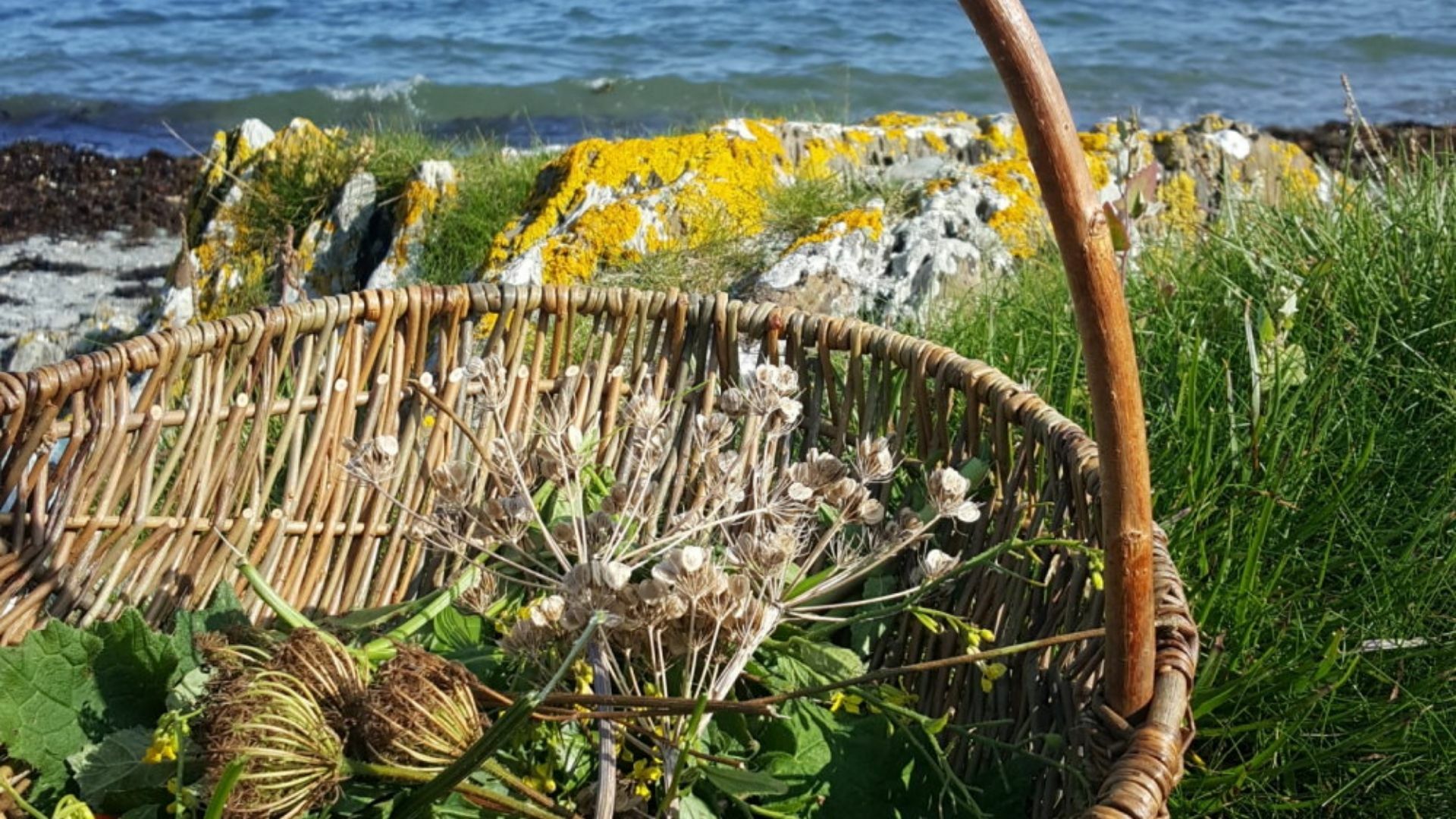 Foraging Afloat