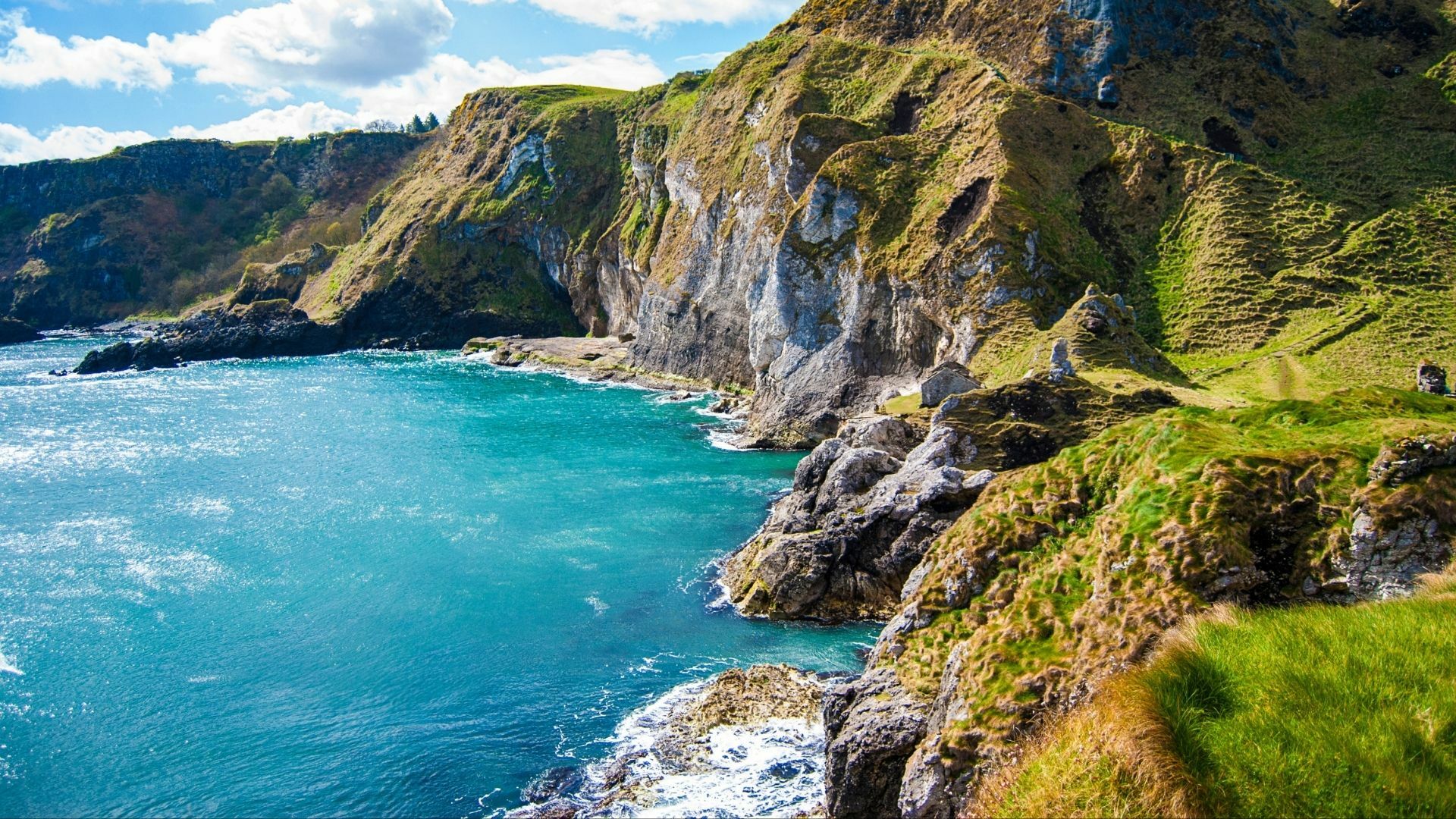 Historical Wreck & Geological Causeway Coast Sea Safari