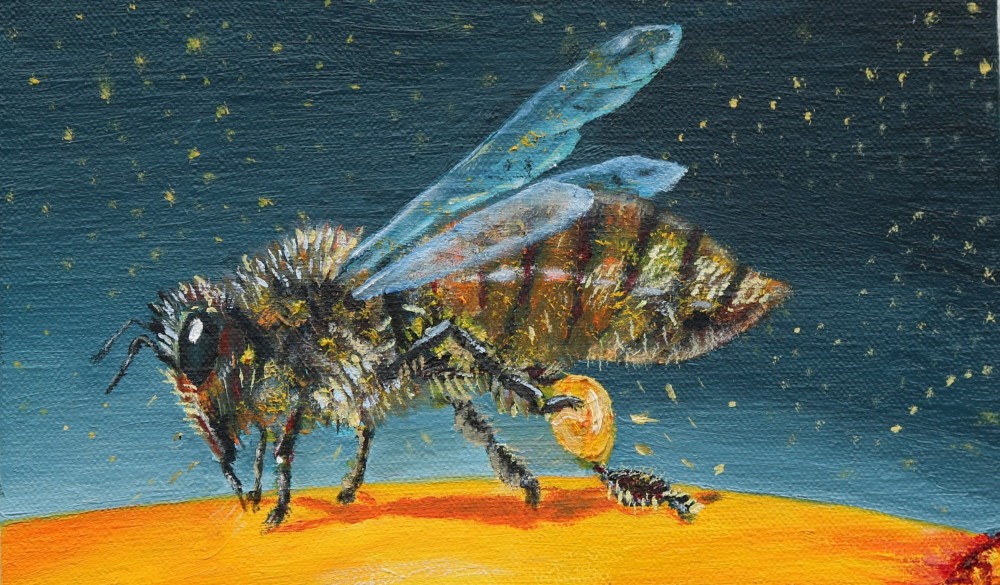 Apis Mellifera, The Honey Bee - An Exhibition by Raymond Watson