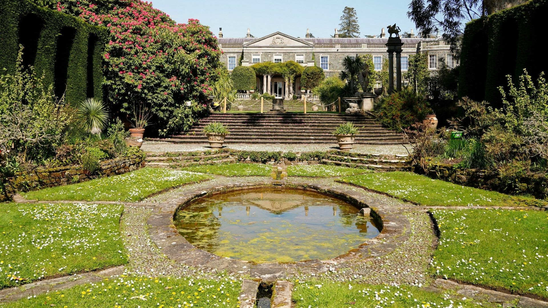 Mount Stewart’s Amazing Microclimate