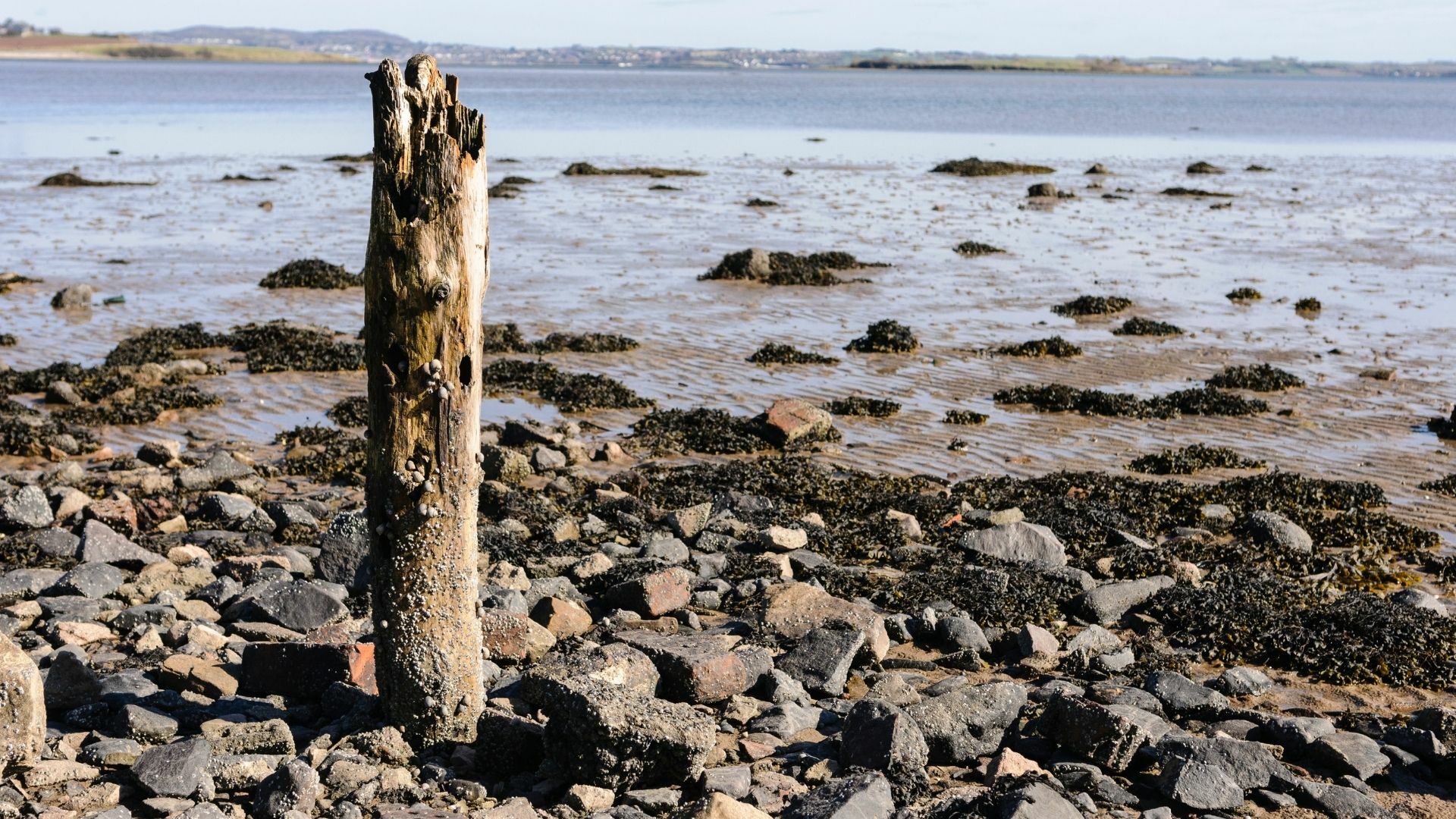 Paddle Back in Time -  The Monks, the Vikings and the Smugglers of Strangford Lough