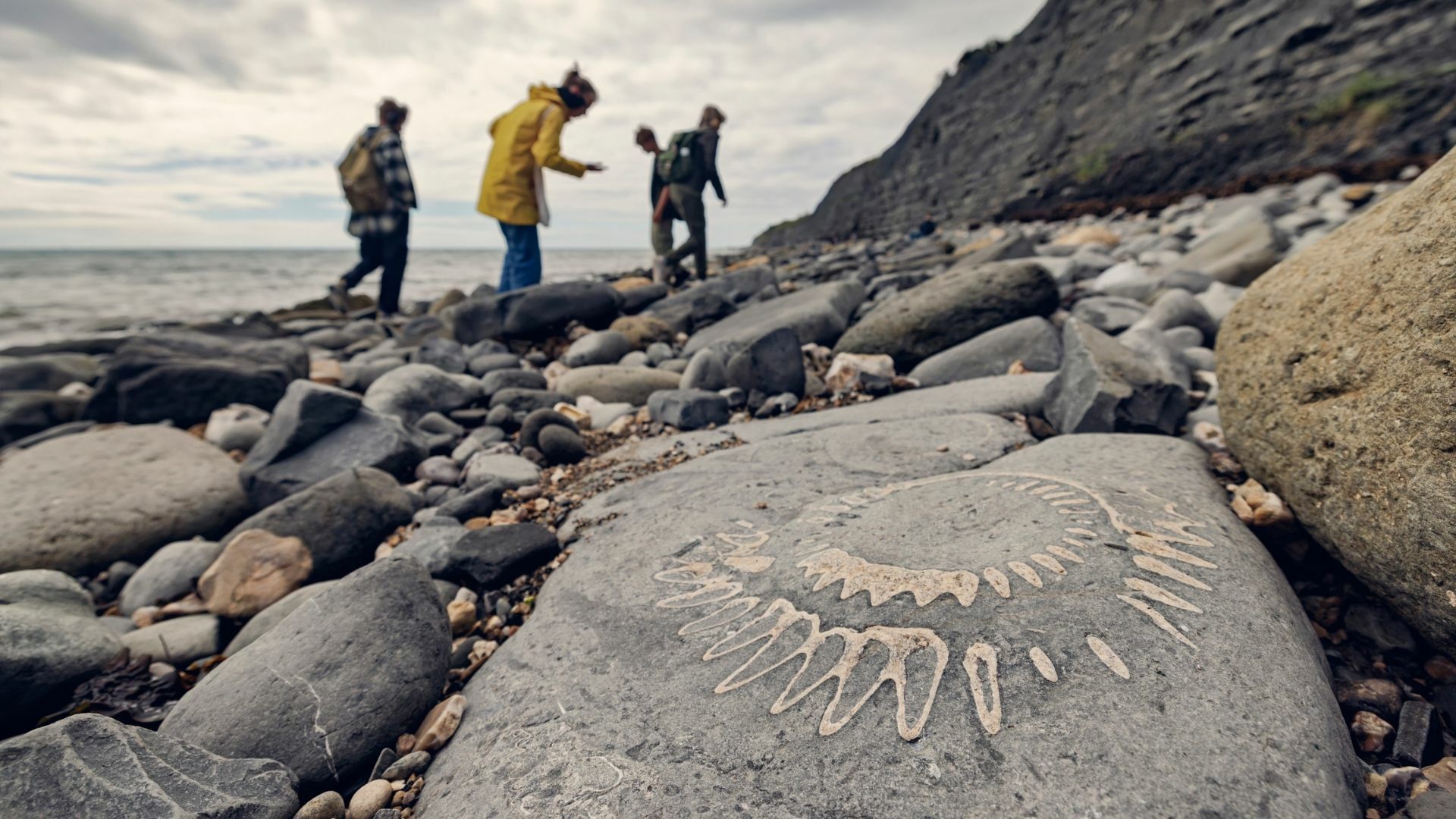 Pick Up a Pebble, Find a Fossil