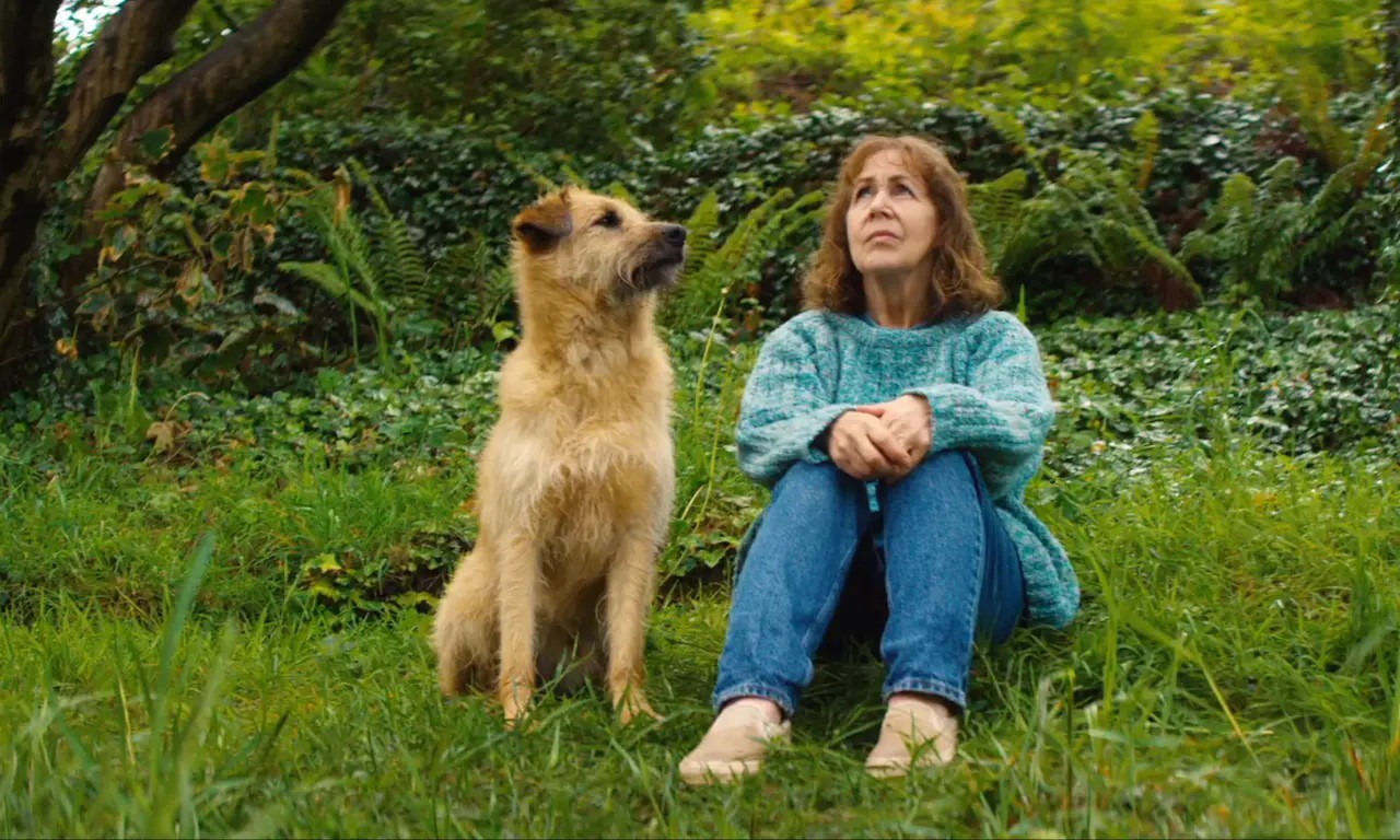 Róise and Frank (Film) | National Pet Awareness Month