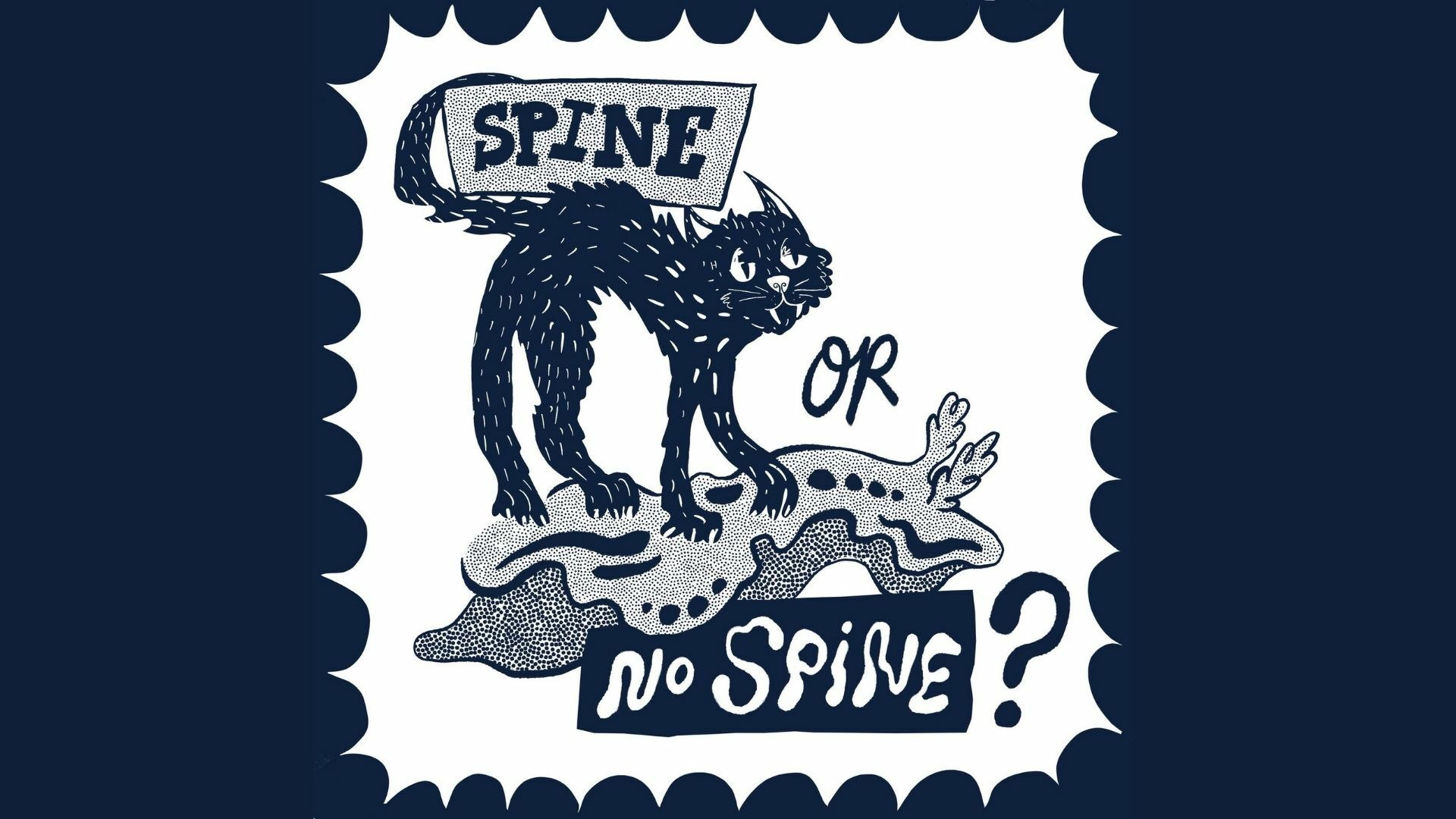 Spine or Spineless ?  Vertebrates and Invertebrates?