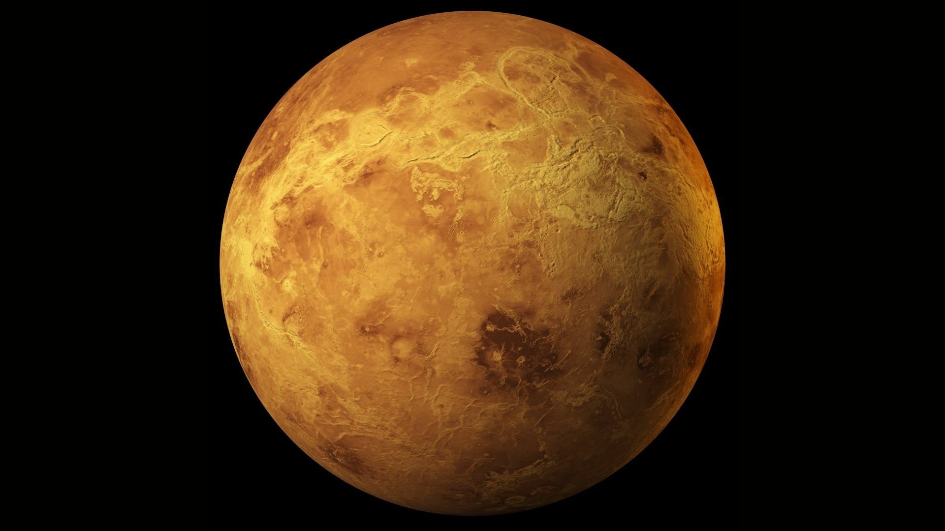 Venus at OM