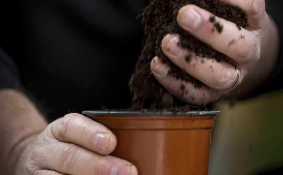 A Beginner’s Guide to the Science of Compost