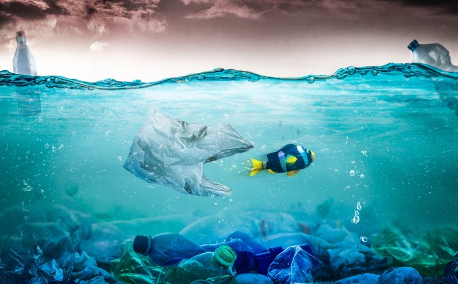 Drugs, Bugs and Plastic in the Water - Should we be worried?