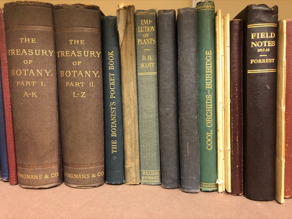 Beauty, Books & Botany