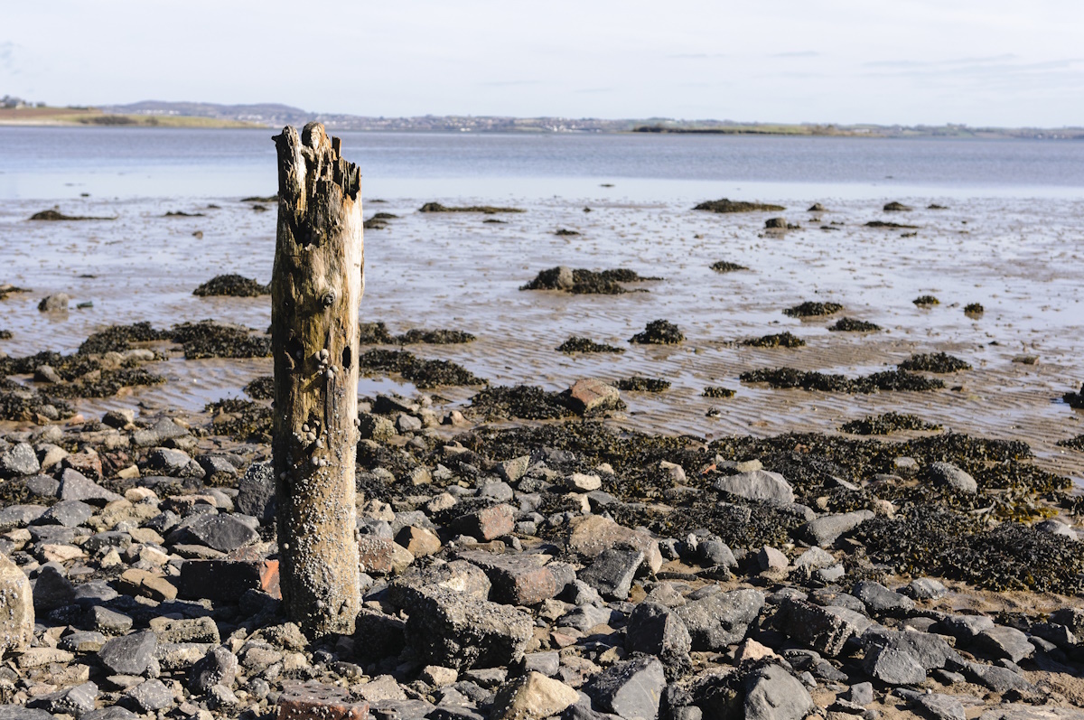 Paddle With a Purpose - Strangford Lough