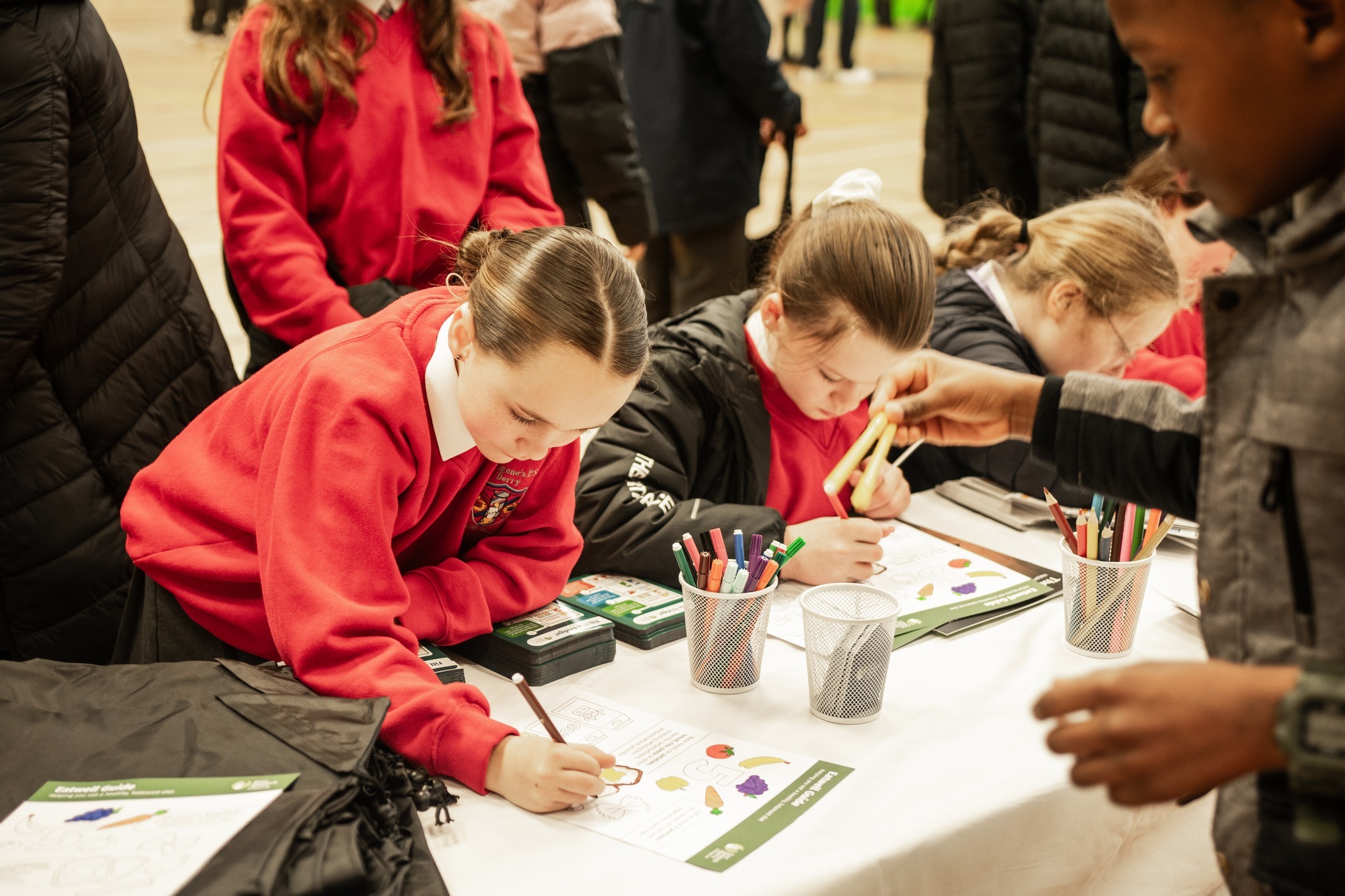 Foyle Science Showcase - Schools Edition!