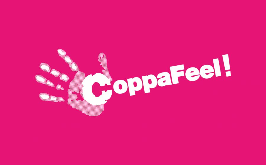 CoppaFeel! - Breast Cancer Awareness Talk