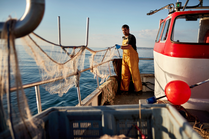 Fisheries Industry Science Mashup!