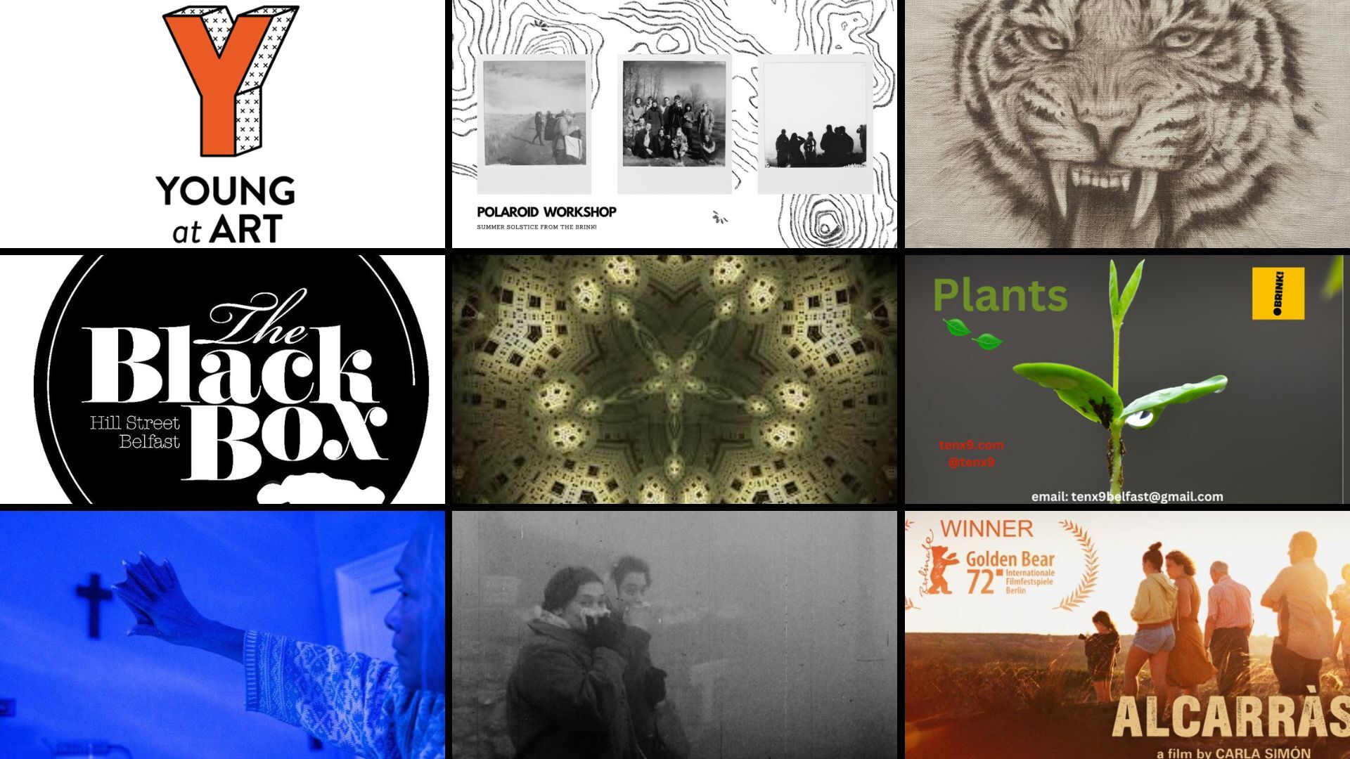 SUMMERSOLSTICE from the Brink! | Sun 15 June