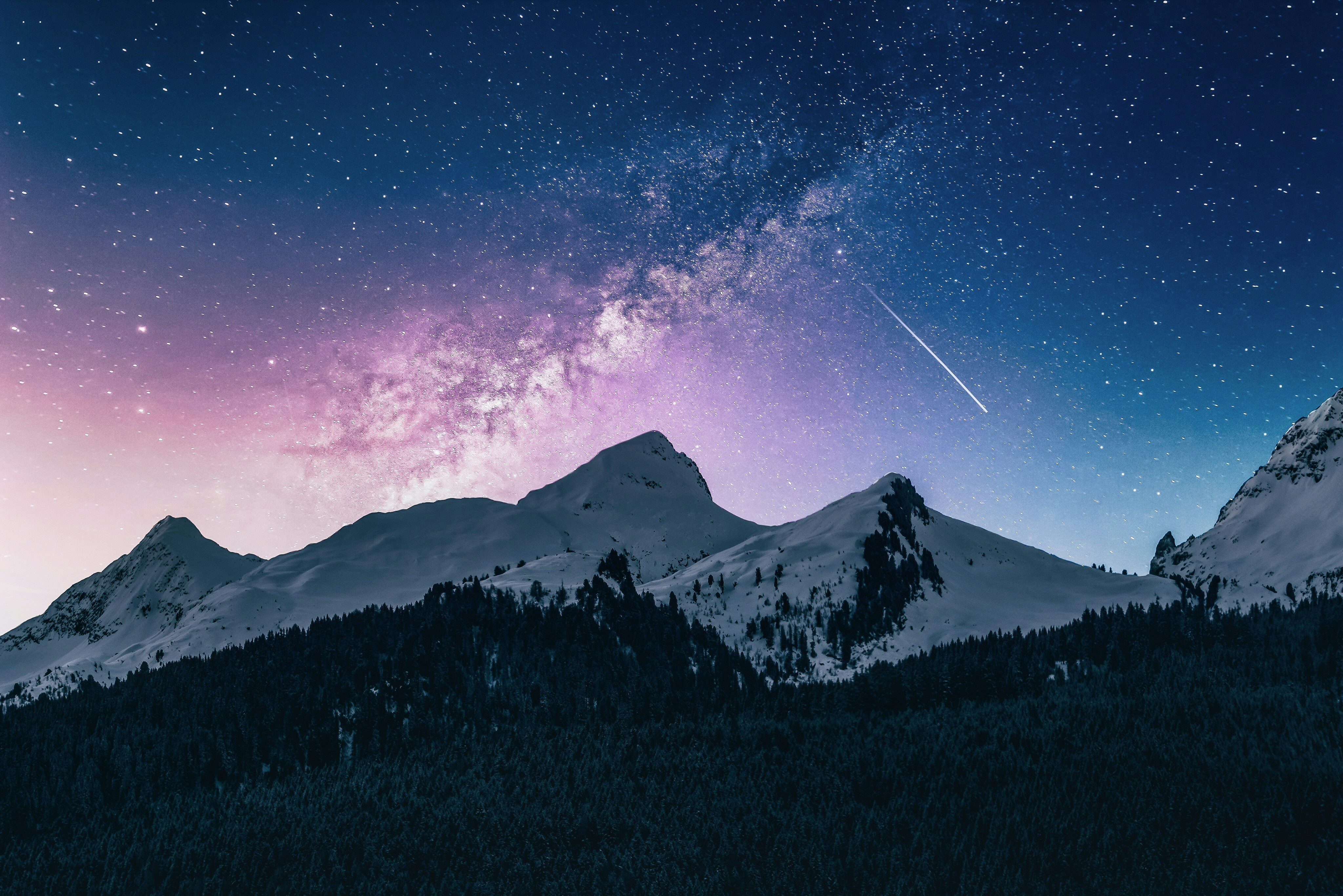 Reaching For The Stars