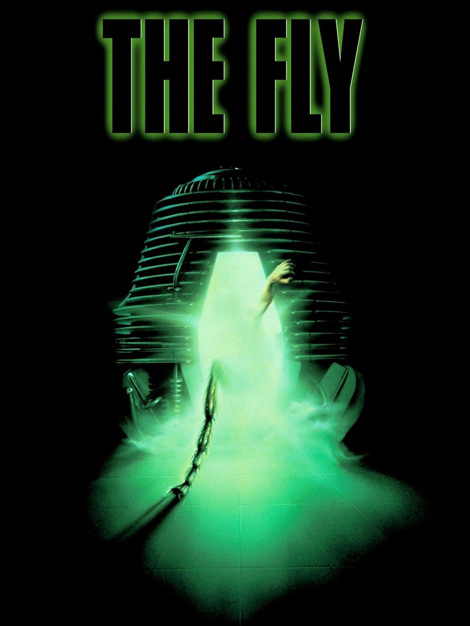 The Fly - Films at the Museum