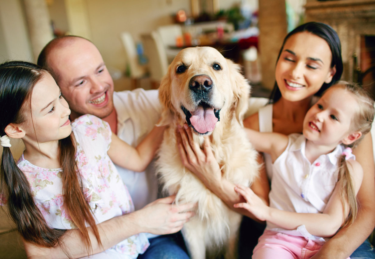 Paws and Play – Safe and Happy Dog Interactions for Families