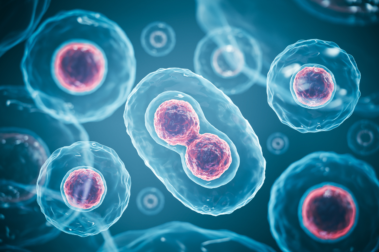 3d rendering of Human cell or Embryonic stem cell microscope background.