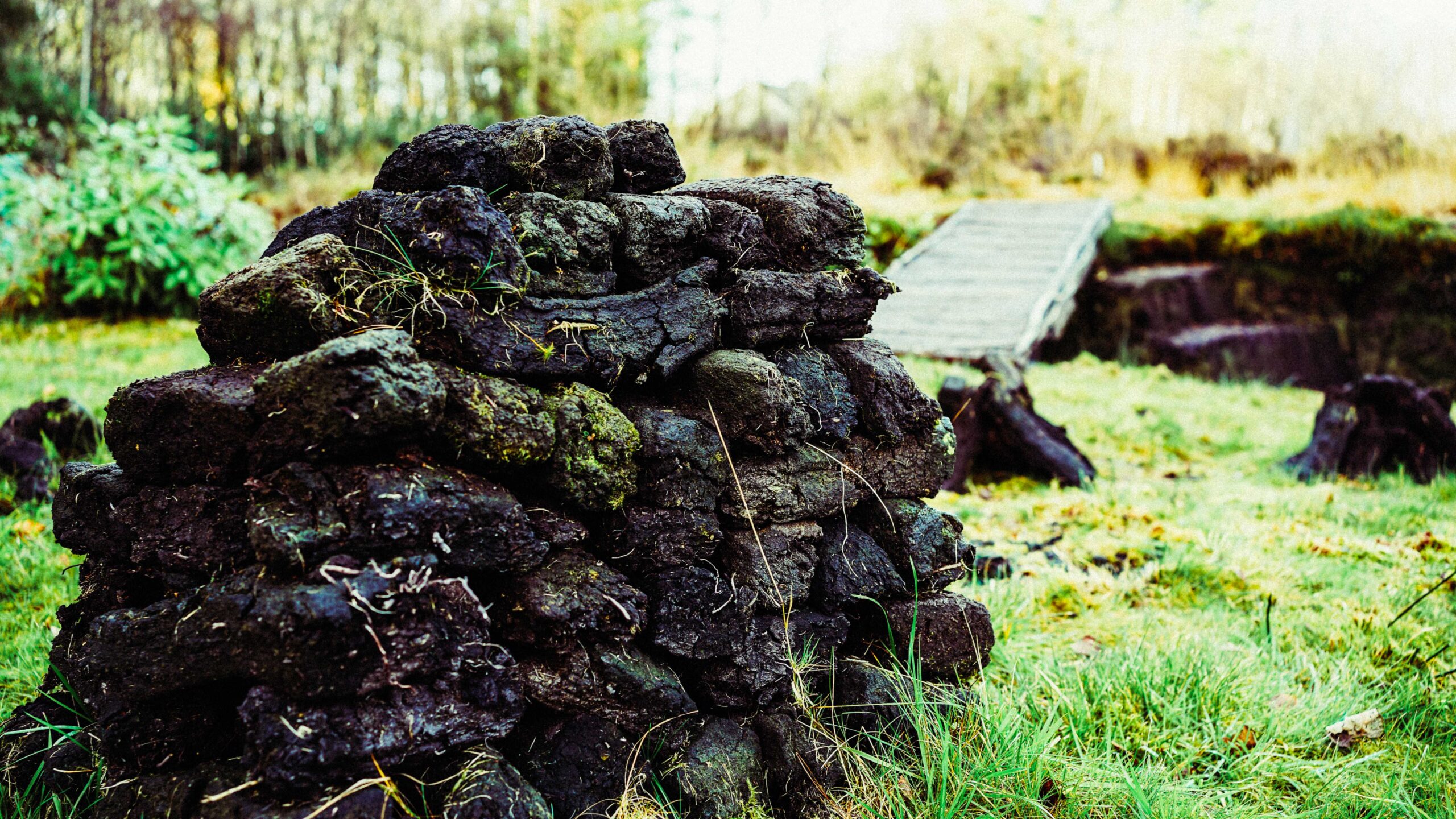 Extracted peat piled high on grass
