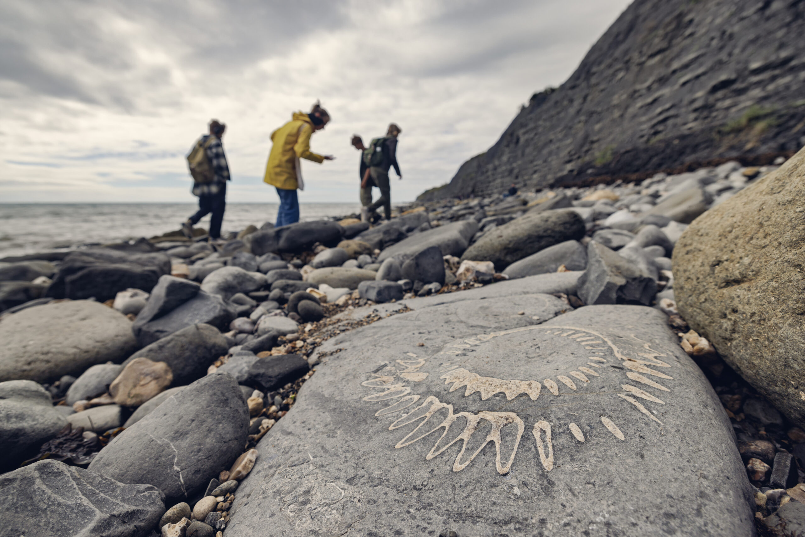 Family walking on the Lyme Regis Fossil Beach and looking for fossils. Cold and windy overcast day.