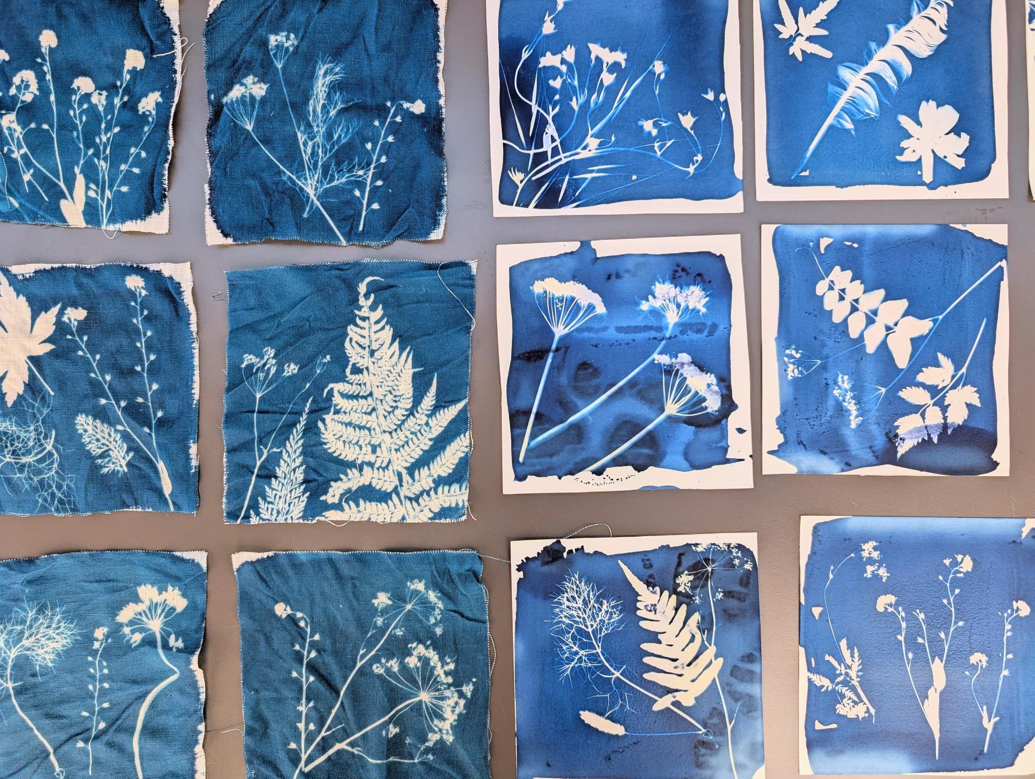 Shorelife: Cyanotype Workshop