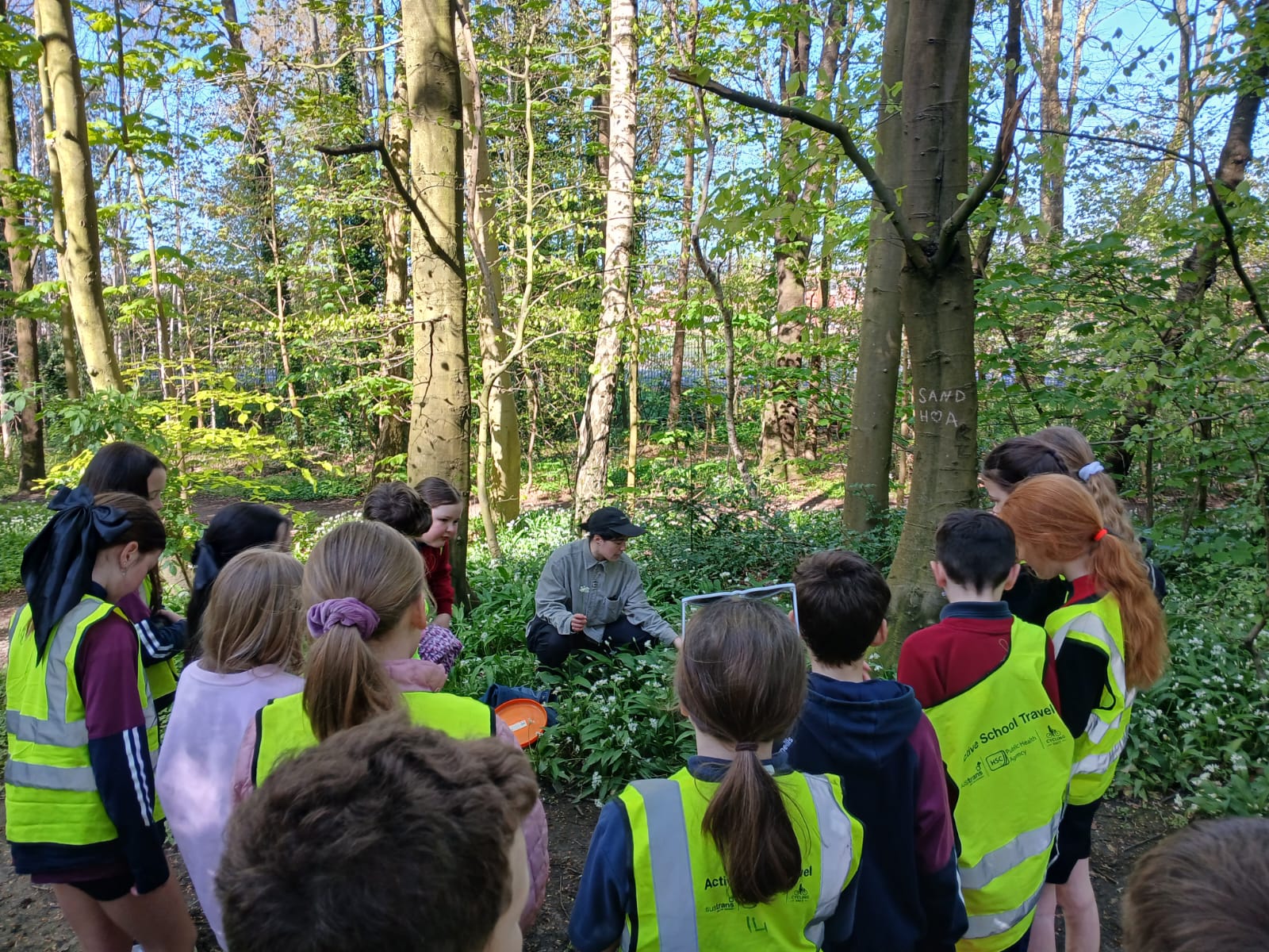 Shorelife: Fungi Fun