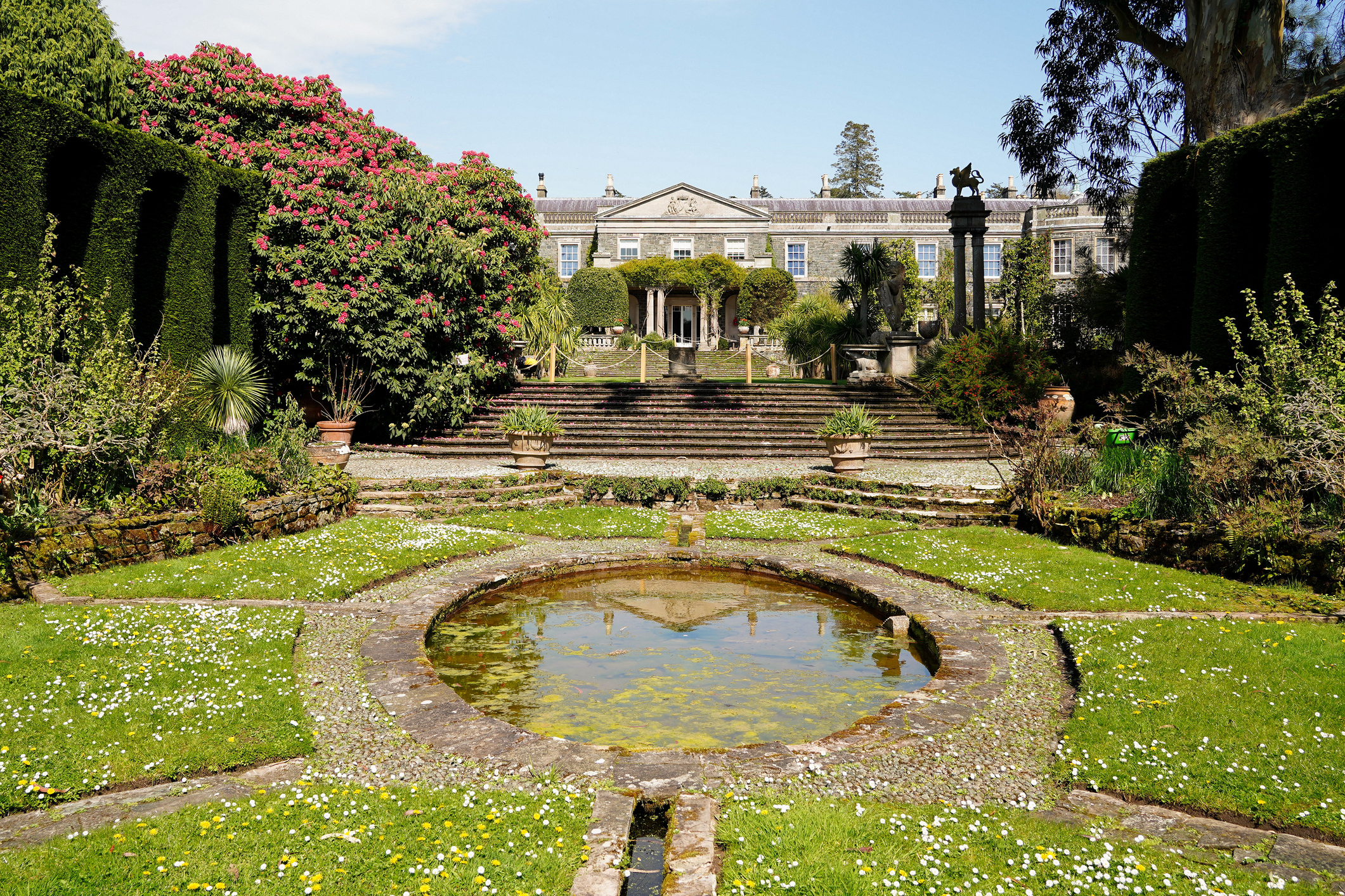 Shorelife: Mount Stewarts Amazing Microclimate
